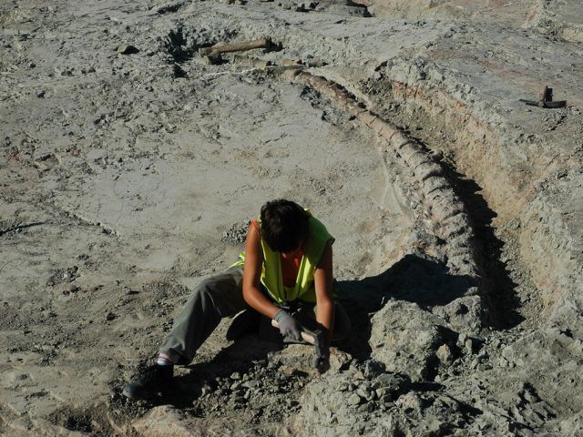 Yacimiento de Lo Hueco