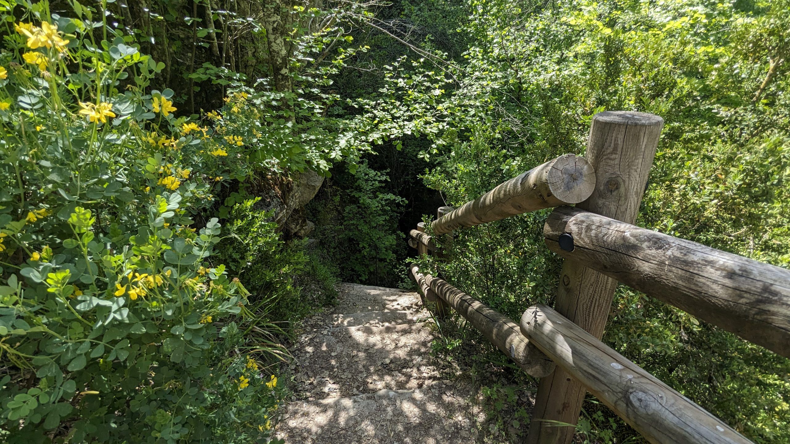 Sendero Botánico