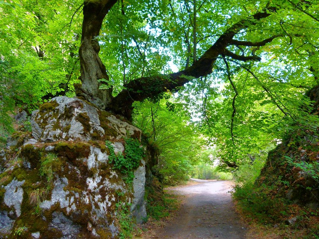 Sendero botánico de la Hoz de Beteta