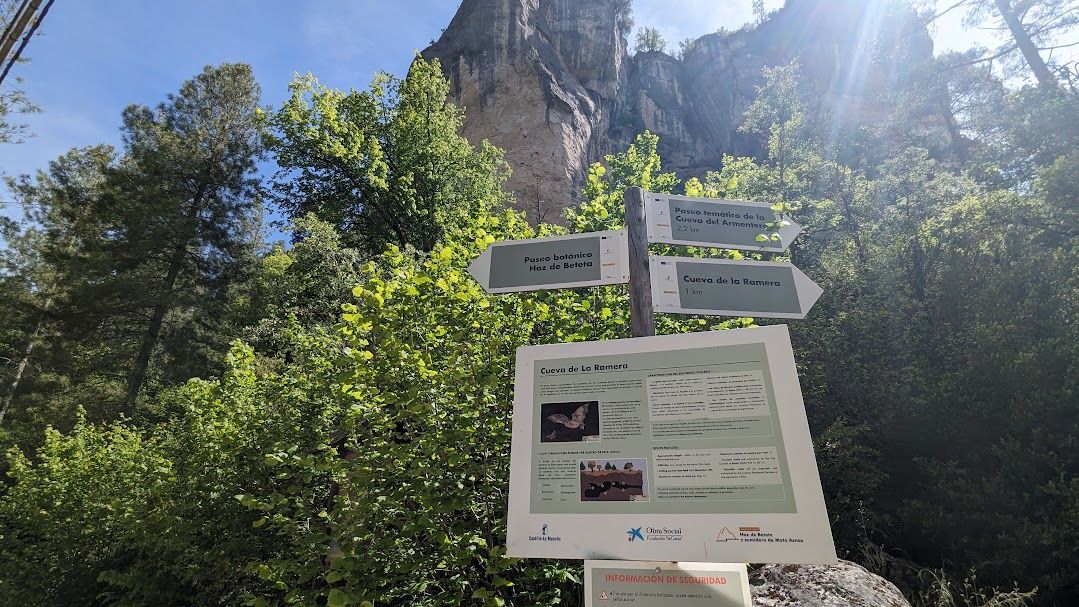 Paseo Botánico