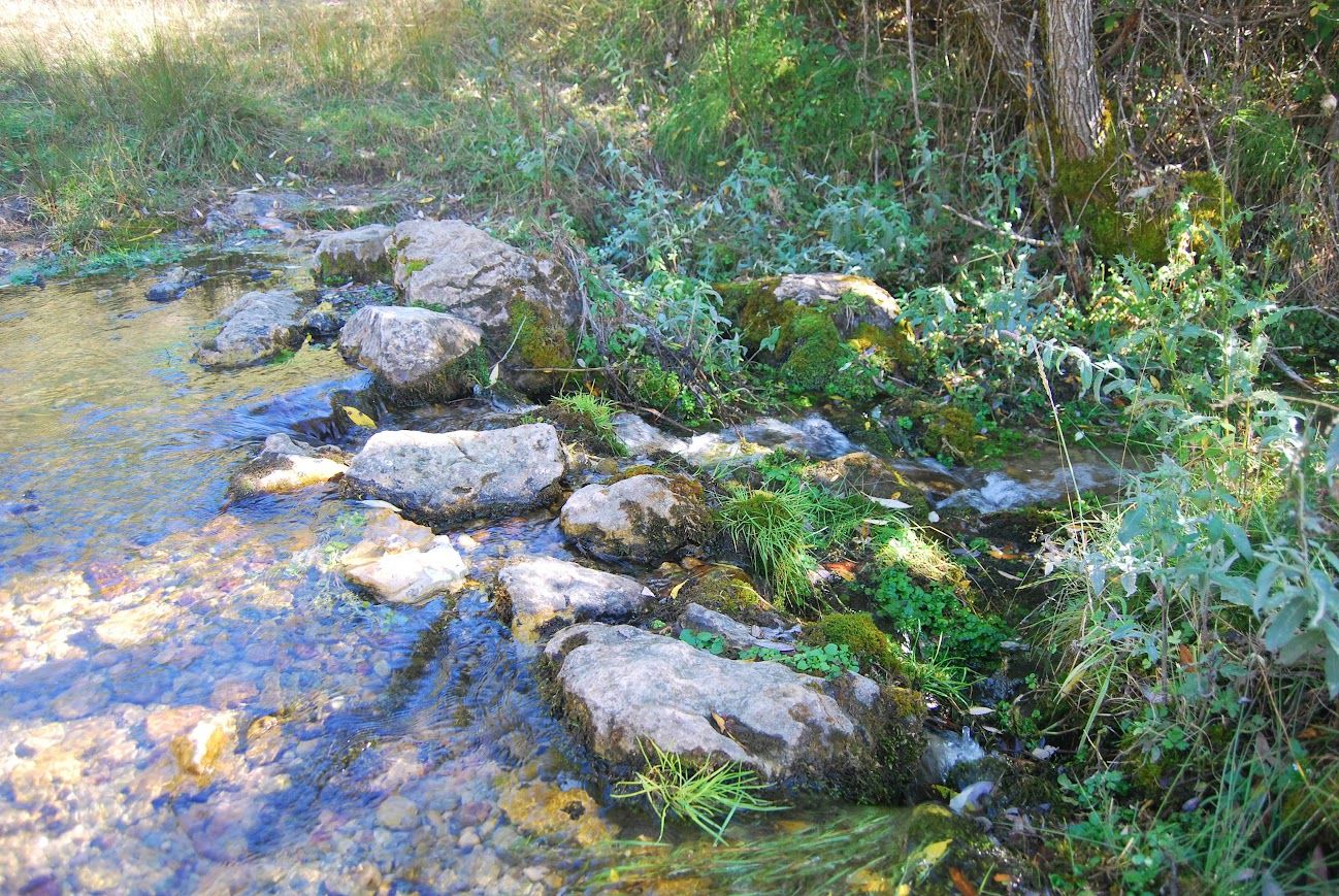 Sendero del nacimiento del río Guadiela
