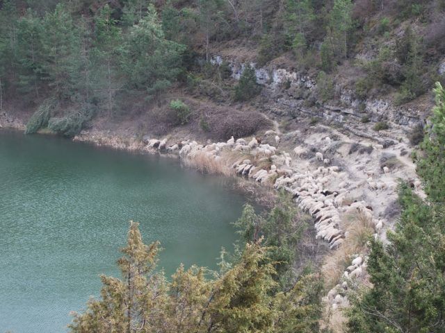 Sendero Interpretativo de las lagunas de Cañada del Hoyo