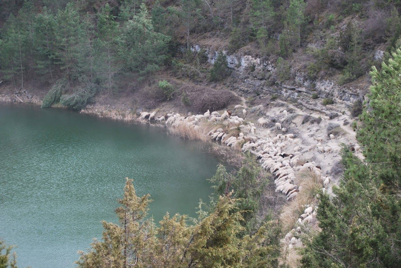 Sendero Interpretativo de las lagunas de Cañada del Hoyo