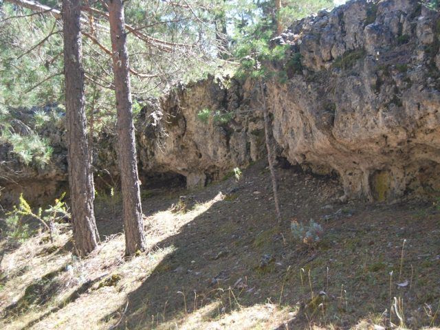 Sendero Interpretativo Muela Pinilla y del Puntal