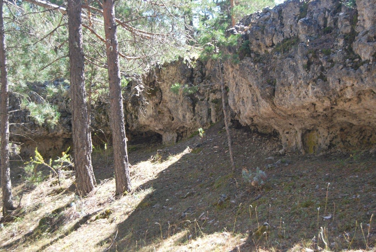 Sendero interpretativo Muela Pinilla