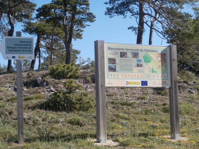 Sendero interpretativo Serrezuela de Valsalobre
