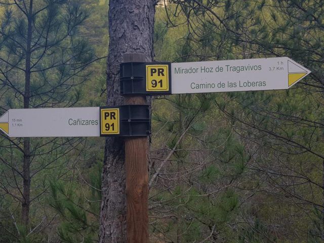 Mirador de Tragavivos
