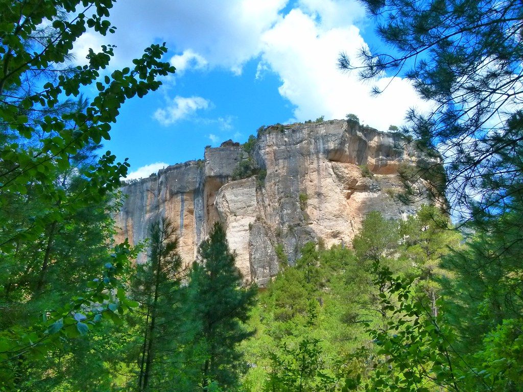 Fuete de los Tilos