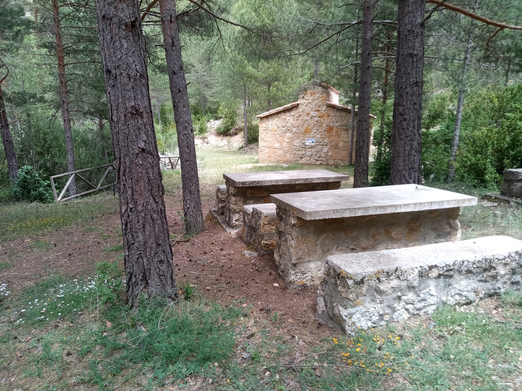 Área Recreativa Fuente del Tejo