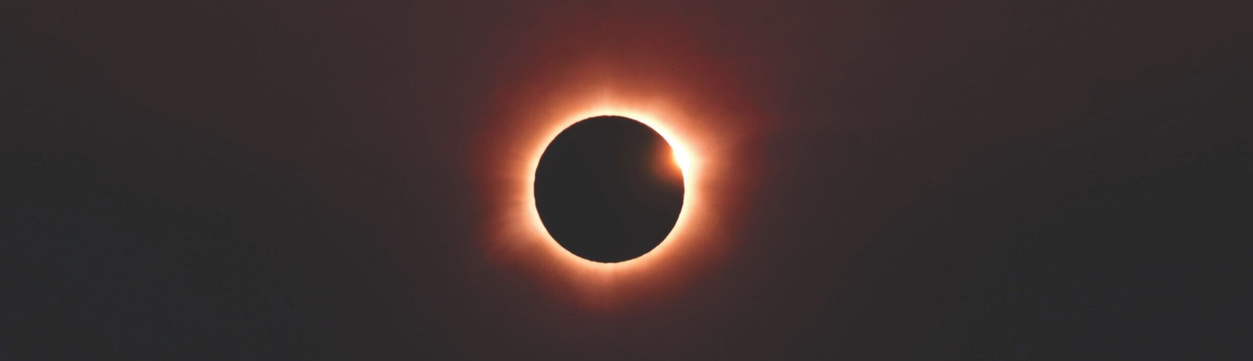 Foto: Gleive vía Pexels